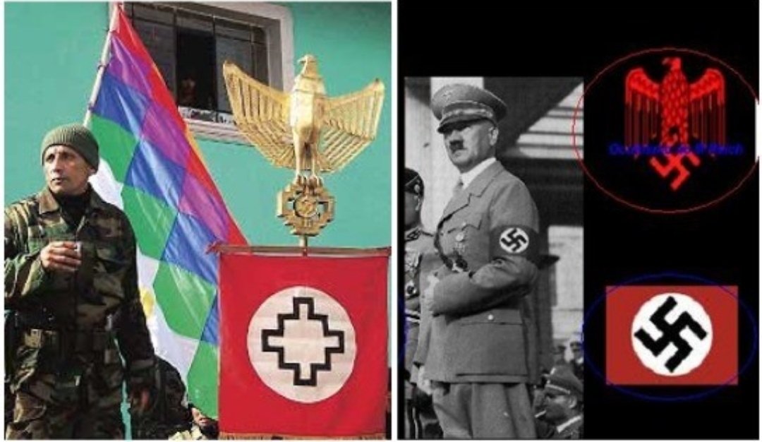 ElMusgoMorado tweet media