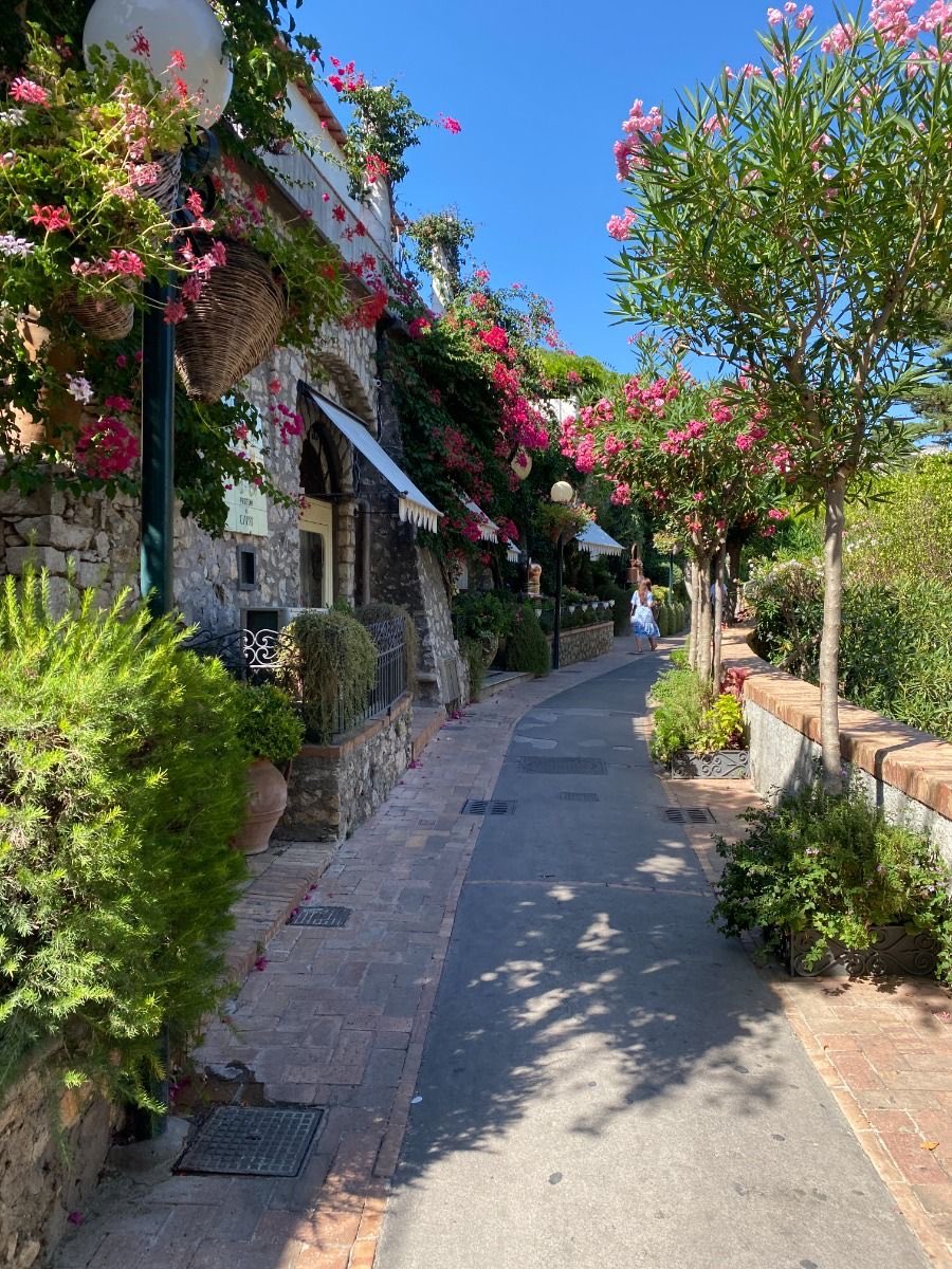 R͟A͟C͟H͟E͟L͟ ͟ .ᐟ .ᐟ tweet media