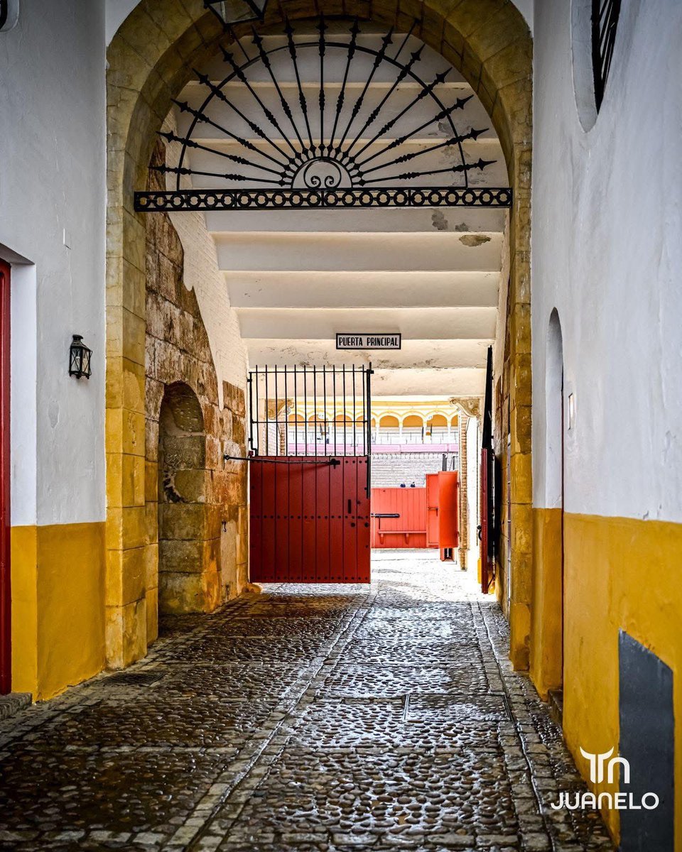 Dimensión Taurina By Tauro Nota tweet media