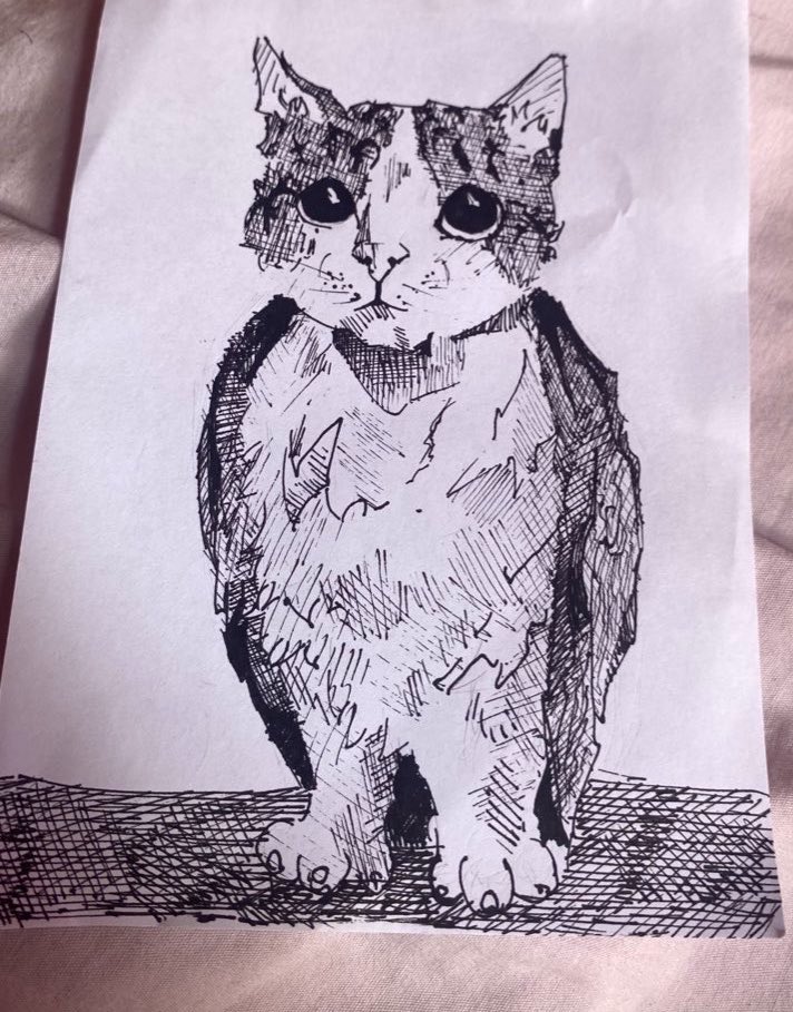 soso 𝜗ৎ tweet media