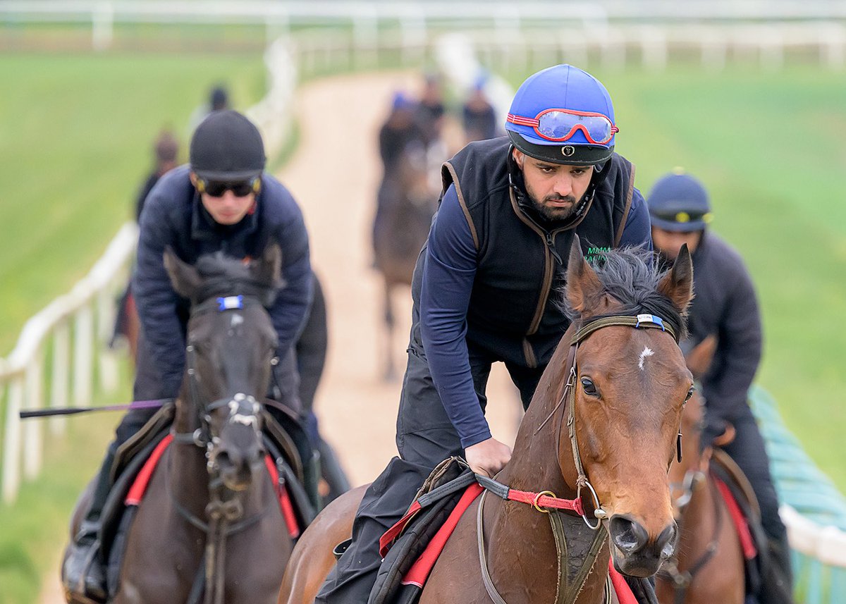 Hambleton Racing tweet media