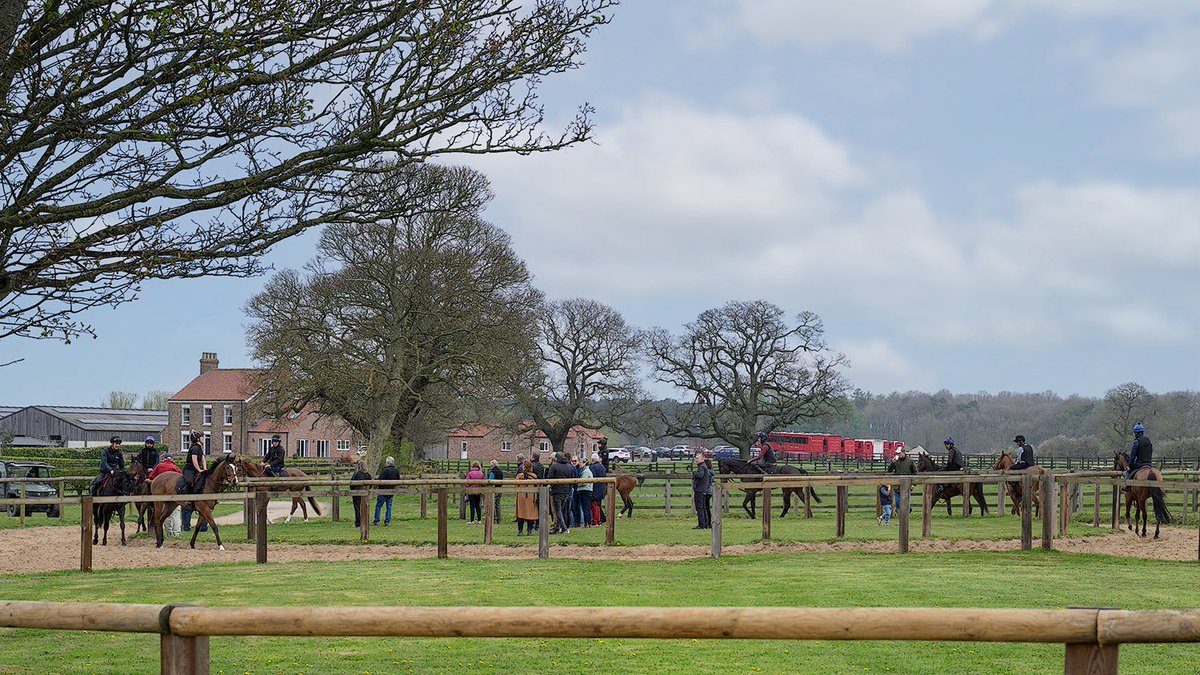 Hambleton Racing tweet media