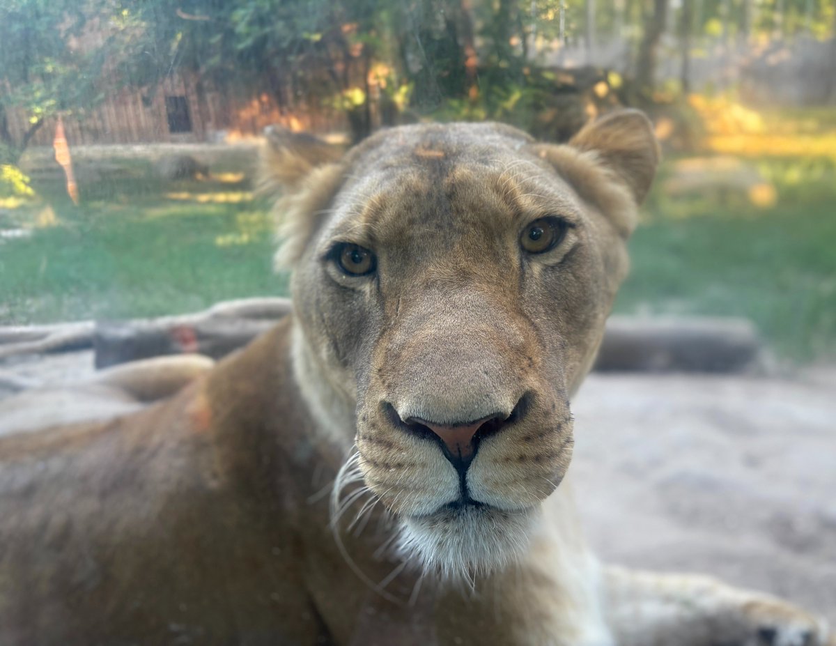 Zoo Boise tweet media