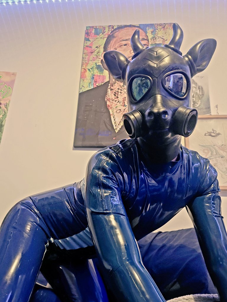 bc_pup's tweet photo. The outside world can be a dangerous place for a deer. I'd feel much safer as your pet that takes over your bed 😄 https://t.co/15SNK846Xb