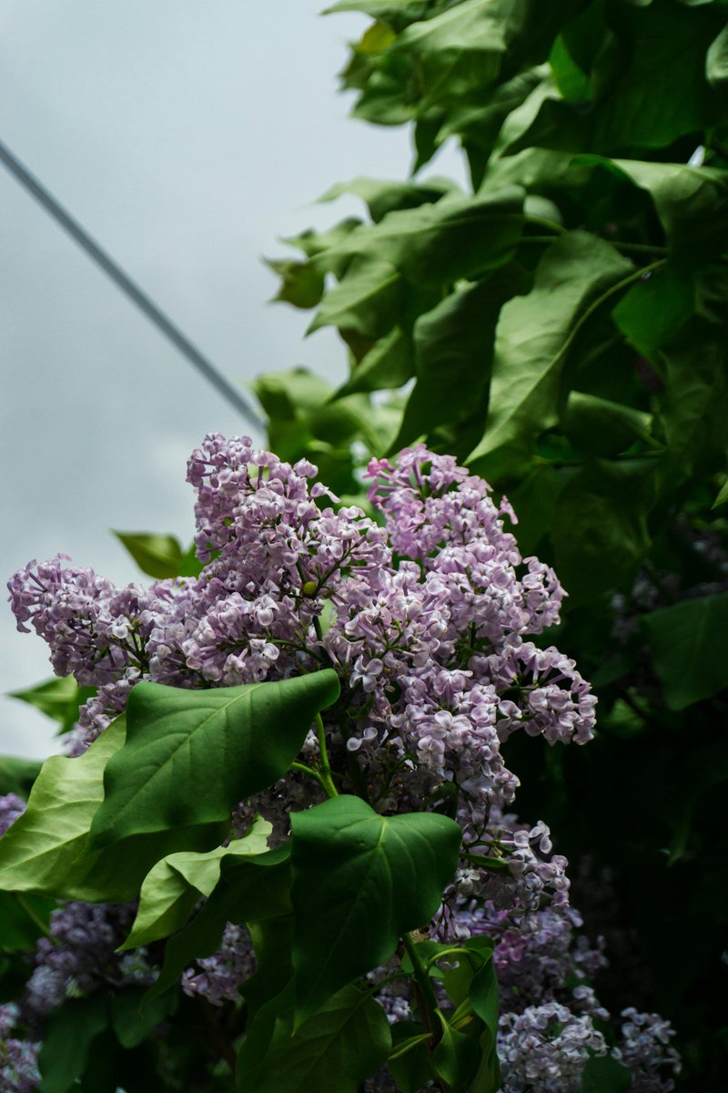 rumbo🔆 tweet media