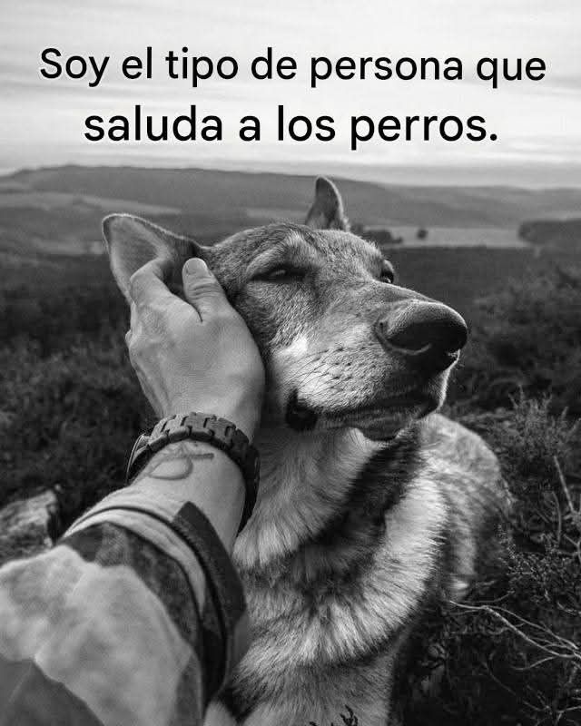 Maxi (@rey_latino33087) on Twitter photo 