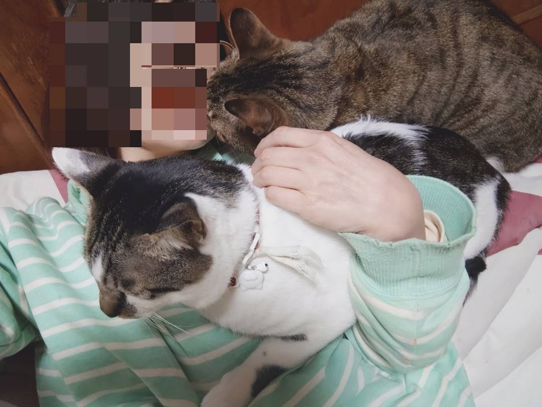 たるたるまるたる tweet media