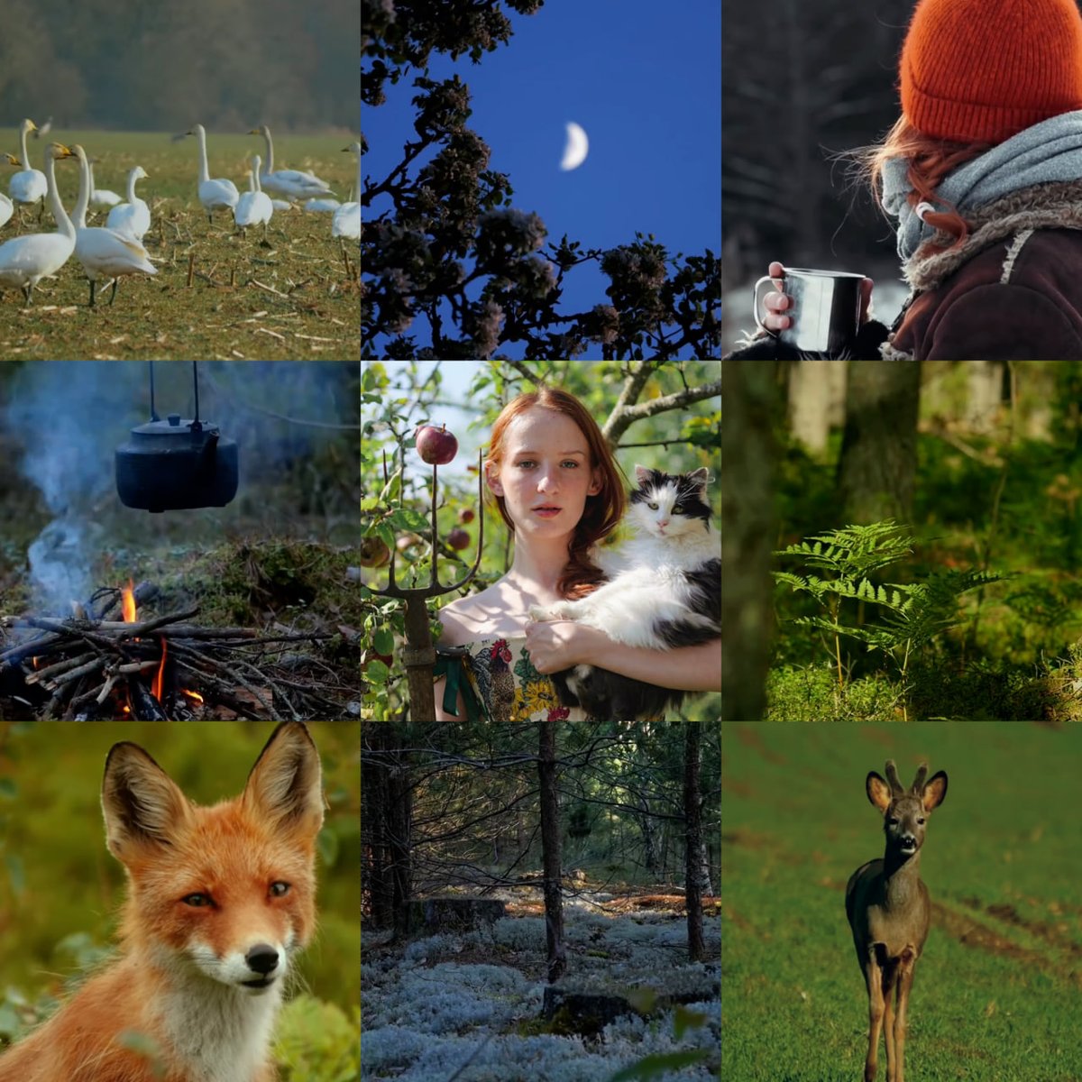 Вавилонский твиттер, я Лиза, художница из Беларуси, рисую и снимаю лес 🦊
Заходите в мой профиль, тут много красоты, творчества и природы!