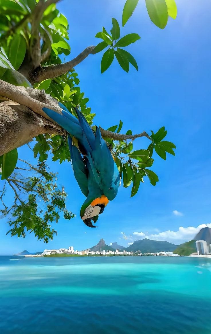 𝓰𝓮𝓷𝓲𝓾𝓼𝔀𝓸𝓶𝓪𝓷 tweet media