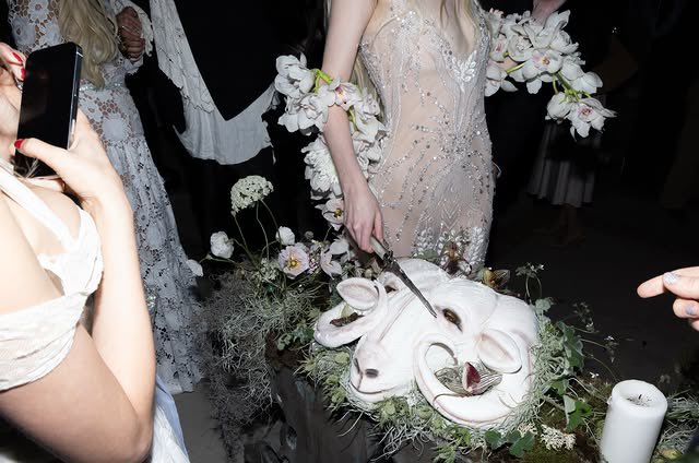 hourly anya taylor-joy tweet media