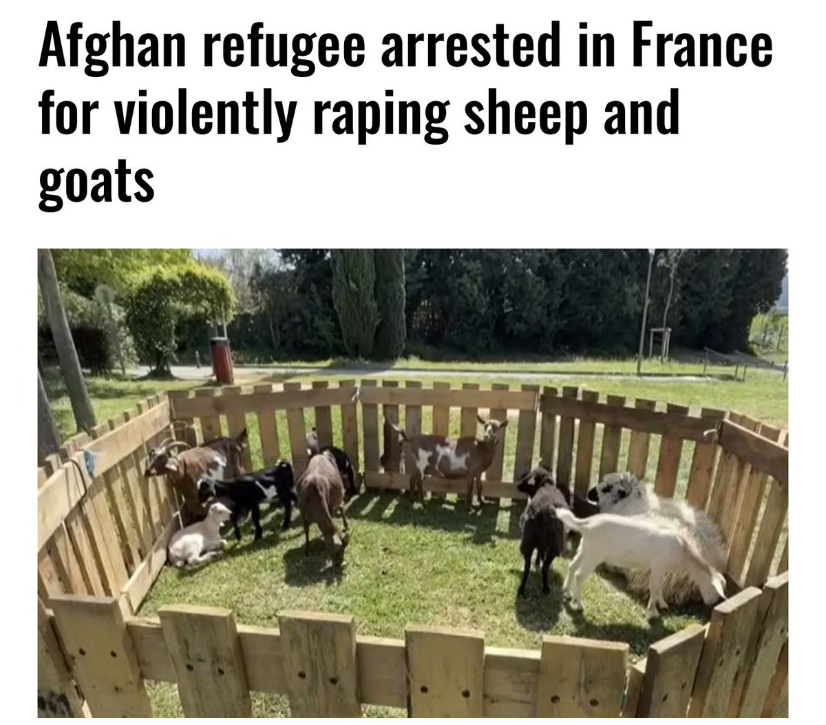 Naomi Seibt tweet media