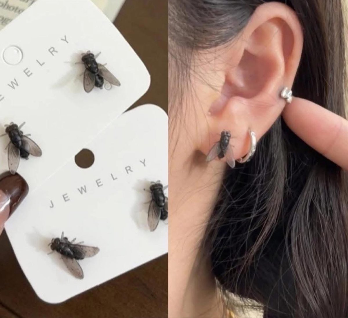 🌹🌹 Rossy 🌹🌹 tweet media