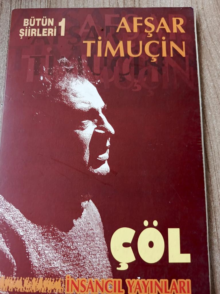 Umut mu umutsuzluk mu yoksa düş mü görülen 
Neden geceler bitince gece başlayacakmış 
Ve neden sessiz ve kırık kalıp karanlığında 
Kurtulmalar kaçar gibi hırçın bekleyişinden
... 
S. 17 kitabı okuyor