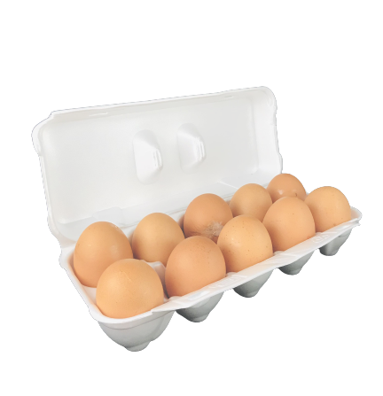 Meddlboy (Hypochonder) tweet media