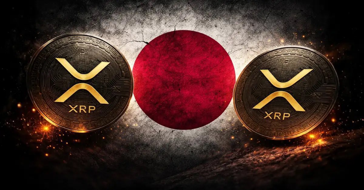 Tosign (@Ox_Tosign) / Posts / X