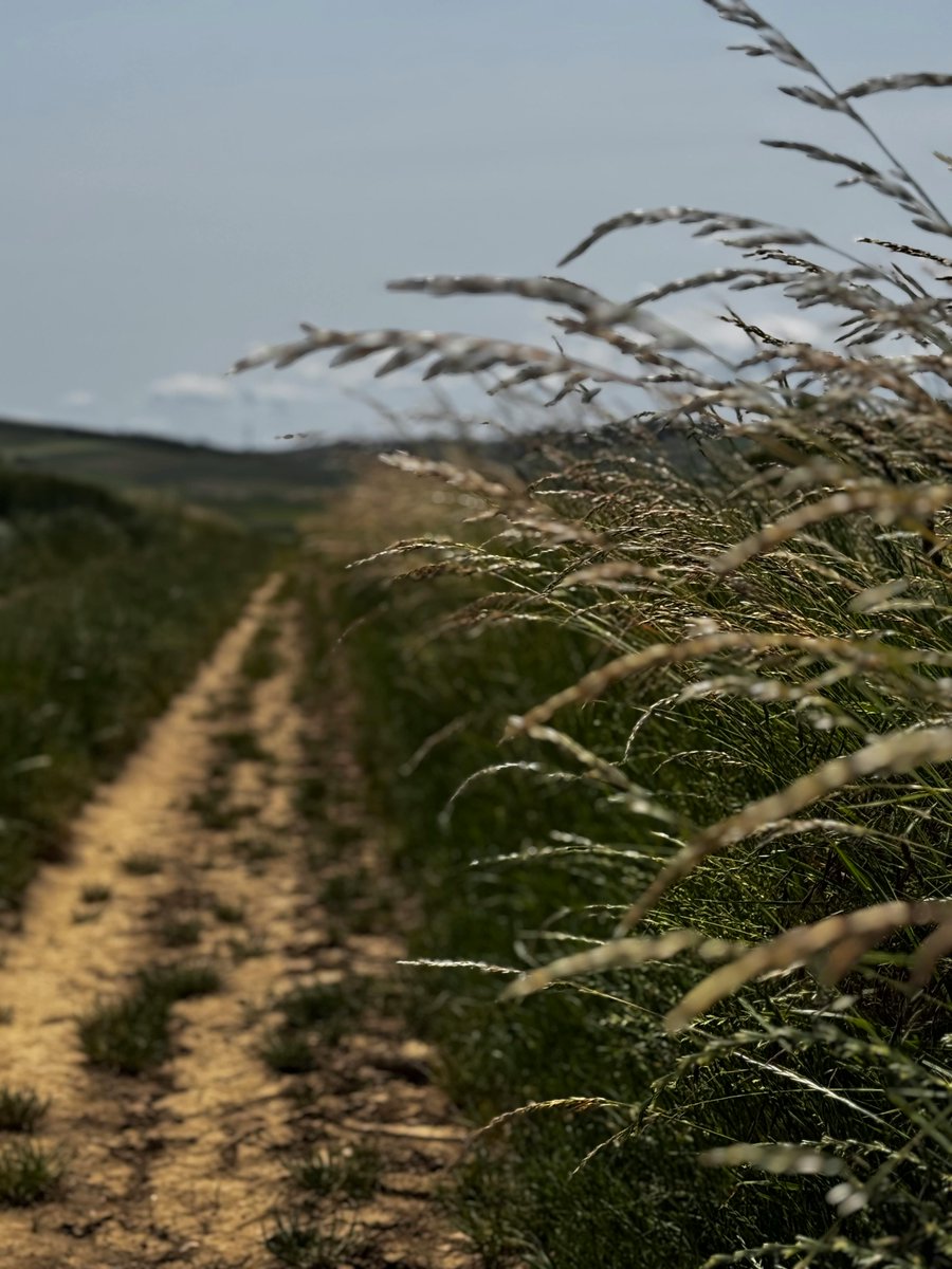 francisco garcia tweet media