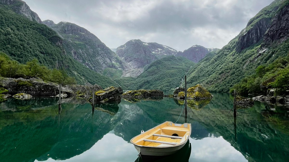 francisco garcia tweet media