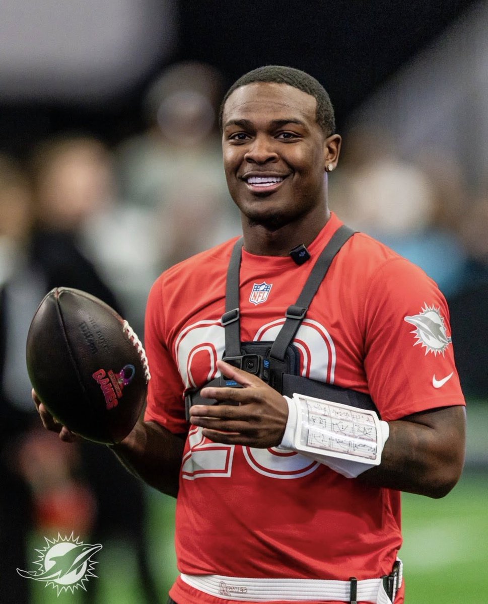 Dolphins Muse tweet media