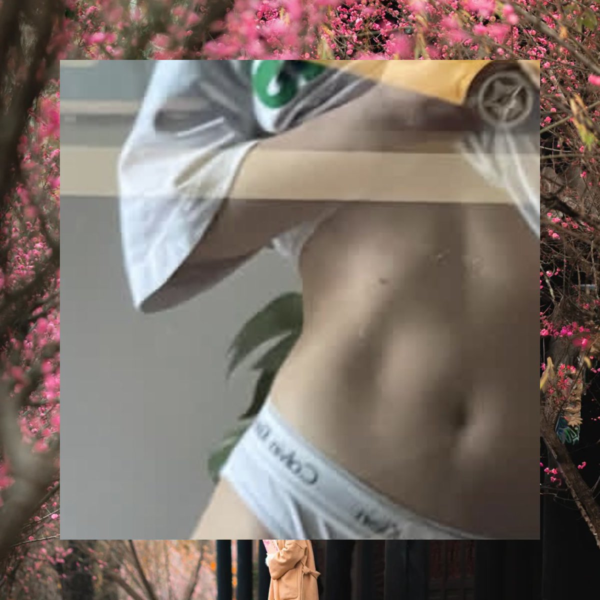 Jeff Harrison tweet media