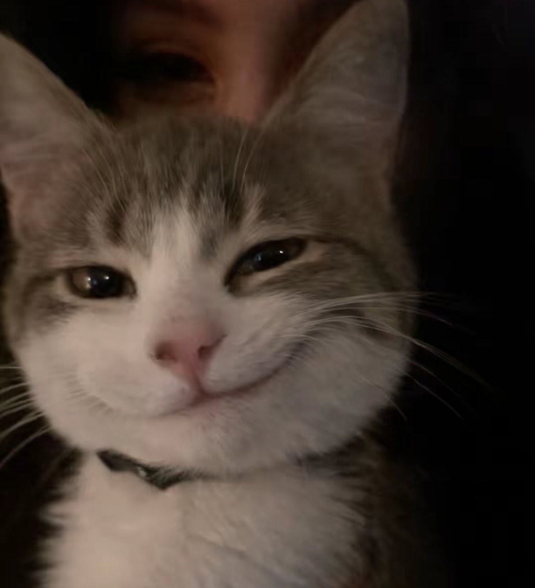 violetinthesun tweet media