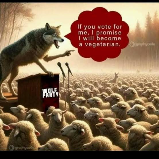 Nolubabalo Mcinga tweet media