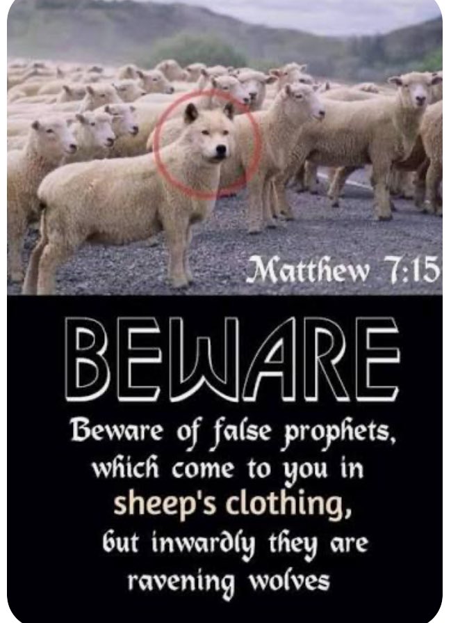 Nolubabalo Mcinga tweet media