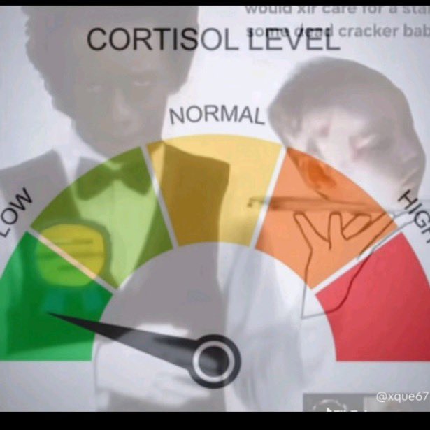 youngbull tweet media