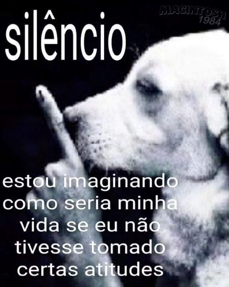 Frases em baixa qualidade tweet media