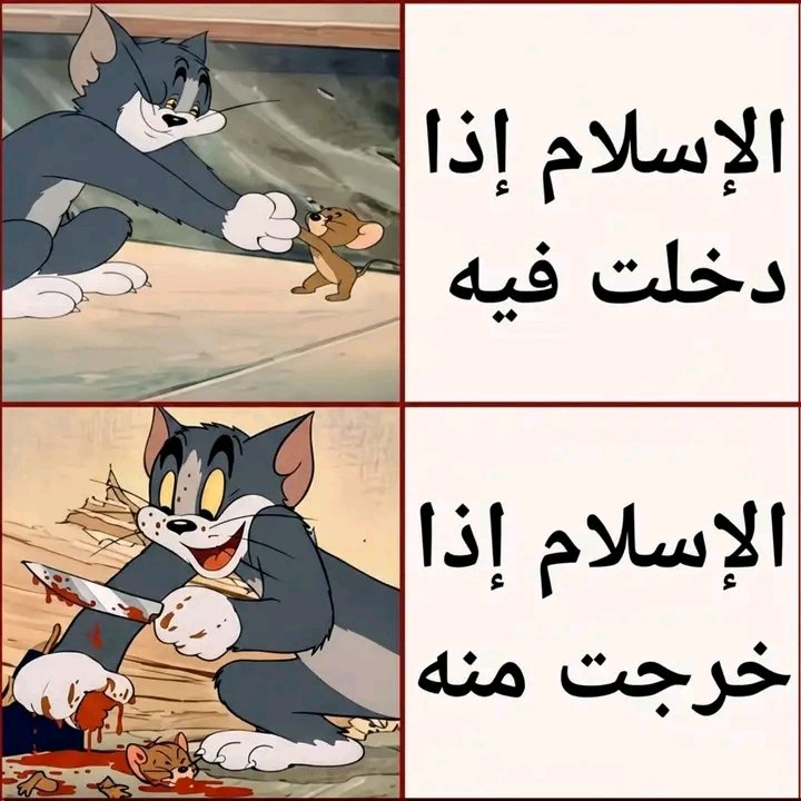 أحمد الشهاب tweet media