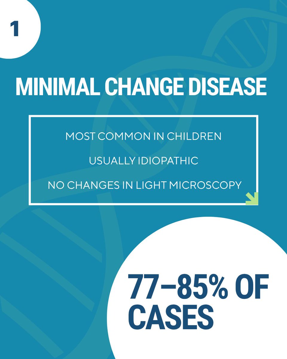 Sampson Lab for Kidney Genomics tweet media