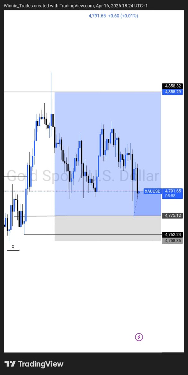 Winnie_Trades tweet media