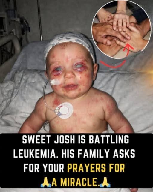 Sonia ❤️ tweet media