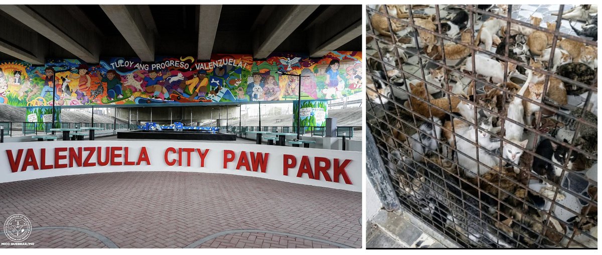 Ang nakakairita, may Paw Park ang Valenzuela na milyon ang halaga. Pero ang lala ng kondisyon ng City Pound. May park para sa mga aso at pusa, pero sinisilo ang mga stray aspin at puspin, o mga alaga na nakalabas ng bahay, ikinukulong sa city pound, ginugutom, pinapatay.