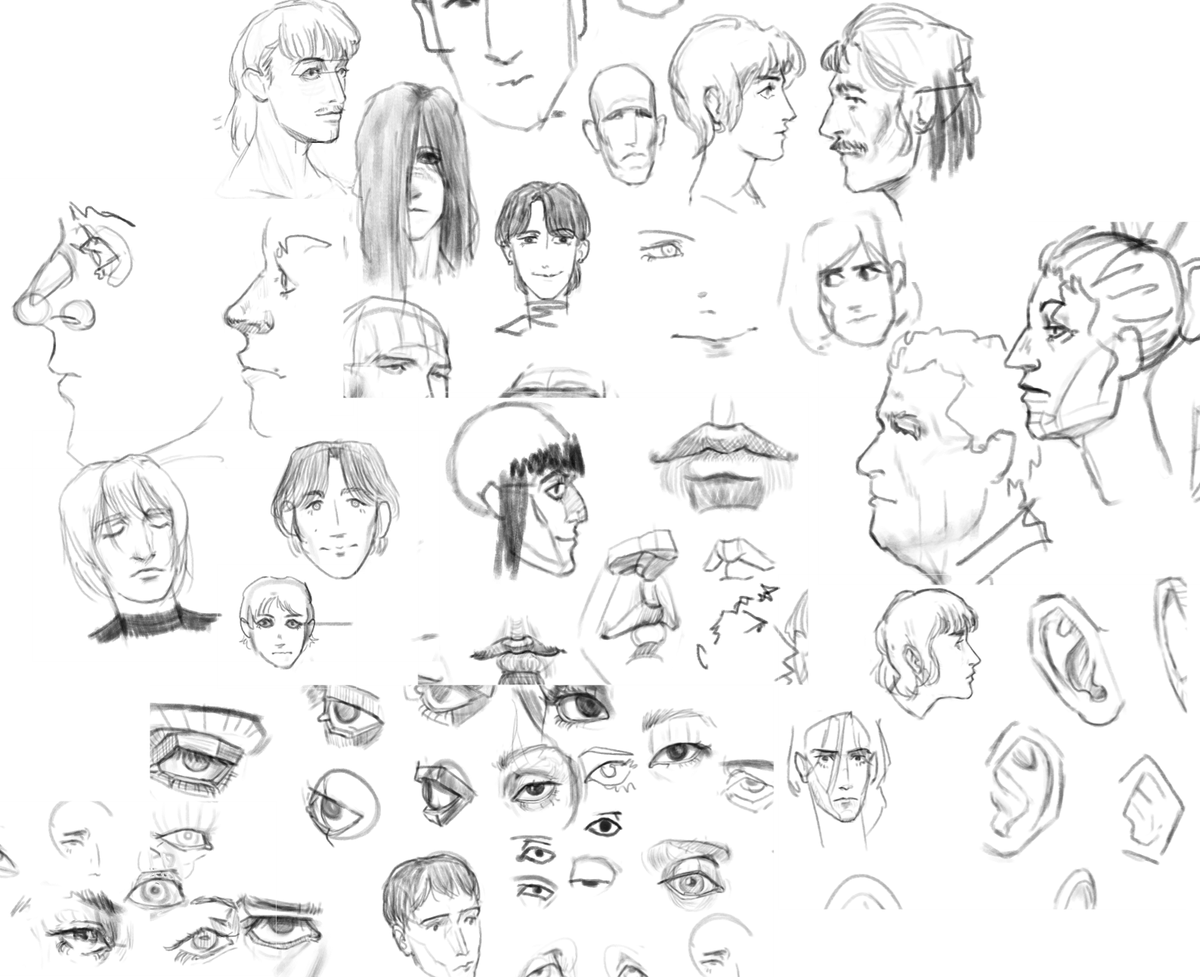 flanseo's tweet image. Finally, this is early 2026! 
Getting more structured about head construction. 
Clips from various layers that came out somewhat decent
________
#art #sketch #study #headstudy