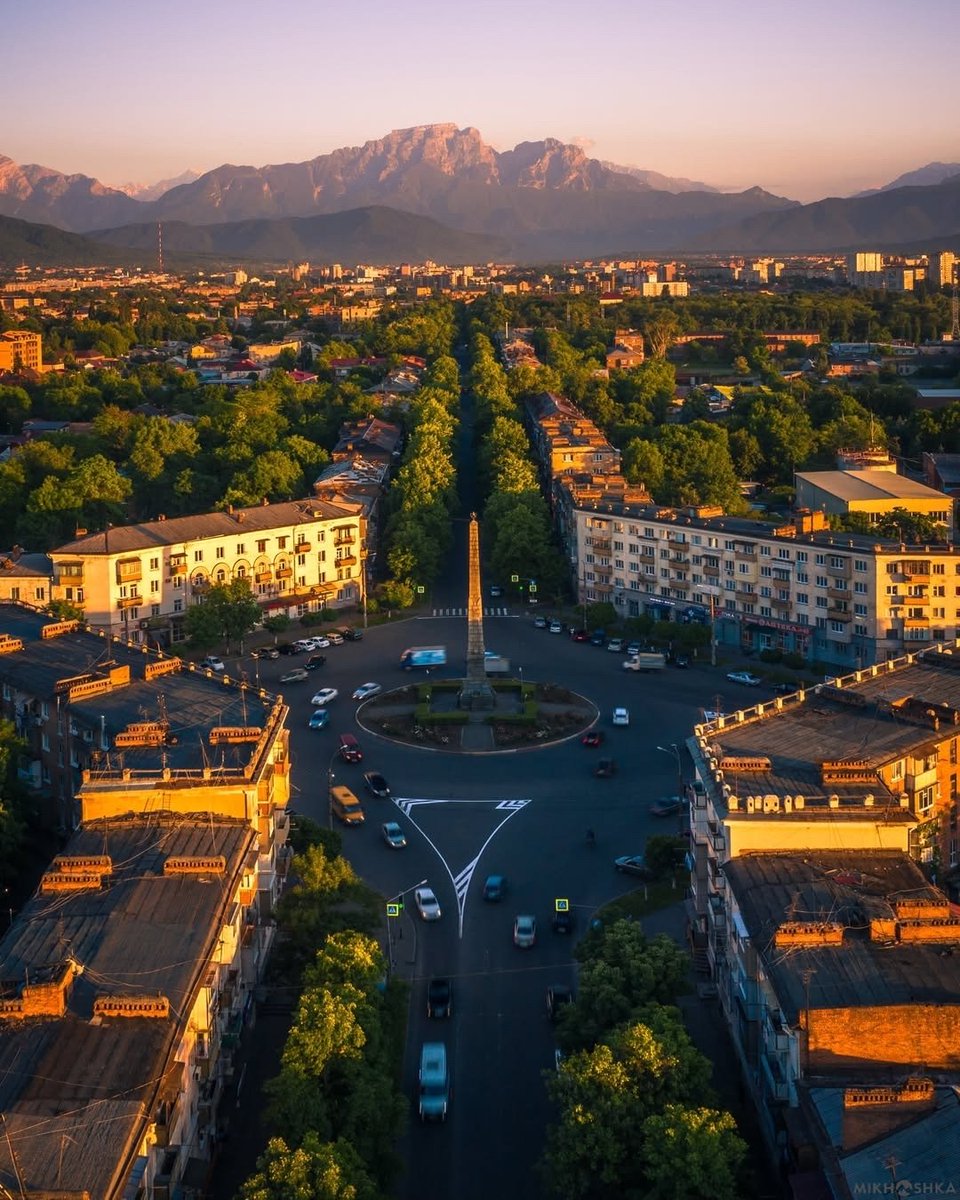 Anna Daryush 🌐 tweet media