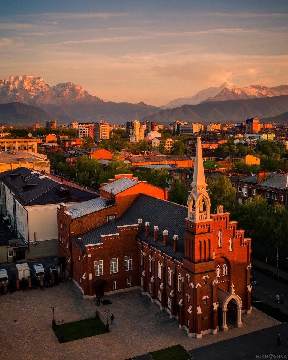 Anna Daryush 🌐 tweet media