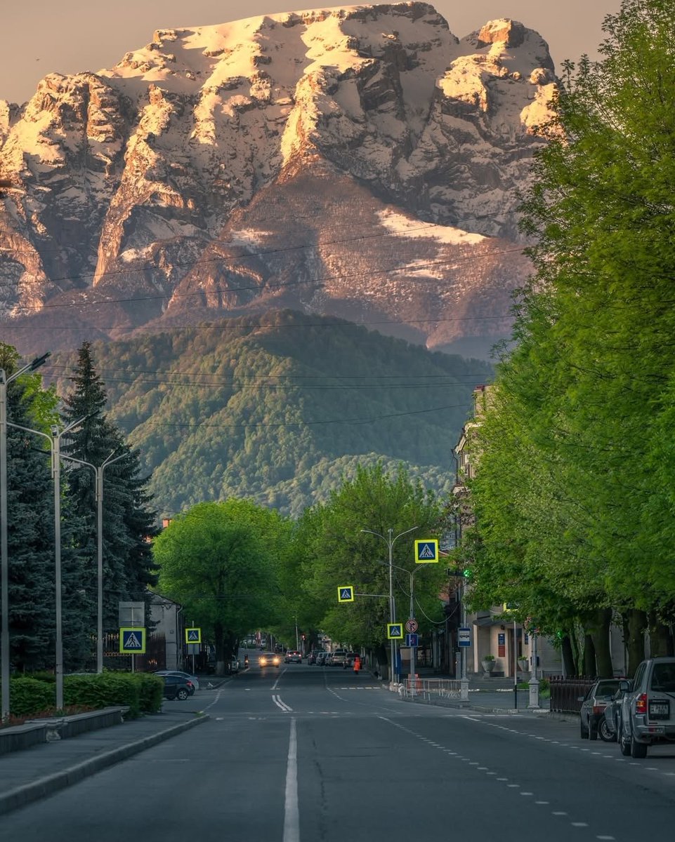 Anna Daryush 🌐 tweet media