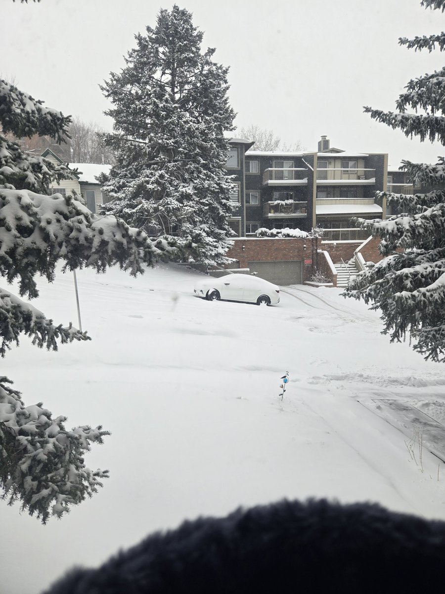 Batoche Métis tweet media