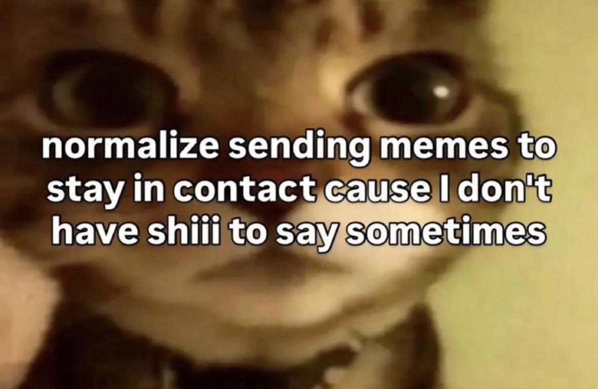 raccoon aesthetic. tweet media