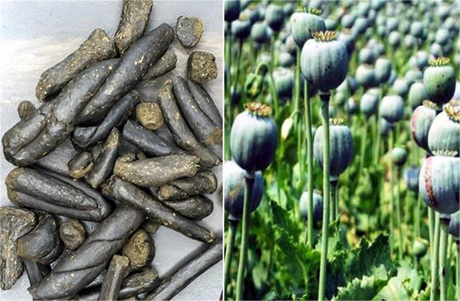 himachalkesari's tweet image. नशे के खिलाफ STF का बड़ा एक्शन, चरस के साथ धरा तस्कर, अफीम की खेती का किया भंडाफोड़
himachal.punjabkesari.in/himachal-prade…
#Himachal #Kullu #Mandi