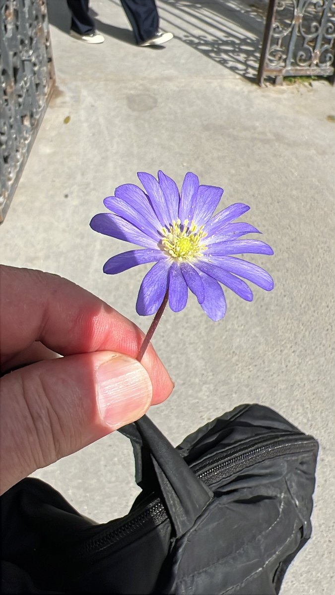 ÉMU
Depuis hier, les gens dans la rue me disent merci pour les #ZFE … j’ai beau expliquer qu’on a été quand même très très nombreux… le cœur parle.
Je vois bien que les gens prennent conscience avec une vraie joie que le peuple peut gagner.
Tous les milieux disent merci.
En