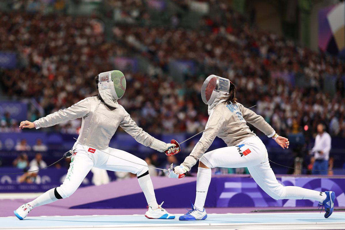 Fencing tweet media