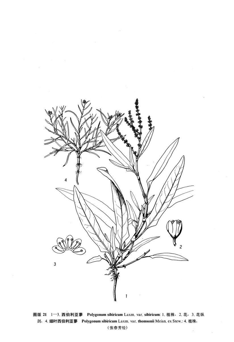 Meagan McAlister tweet media