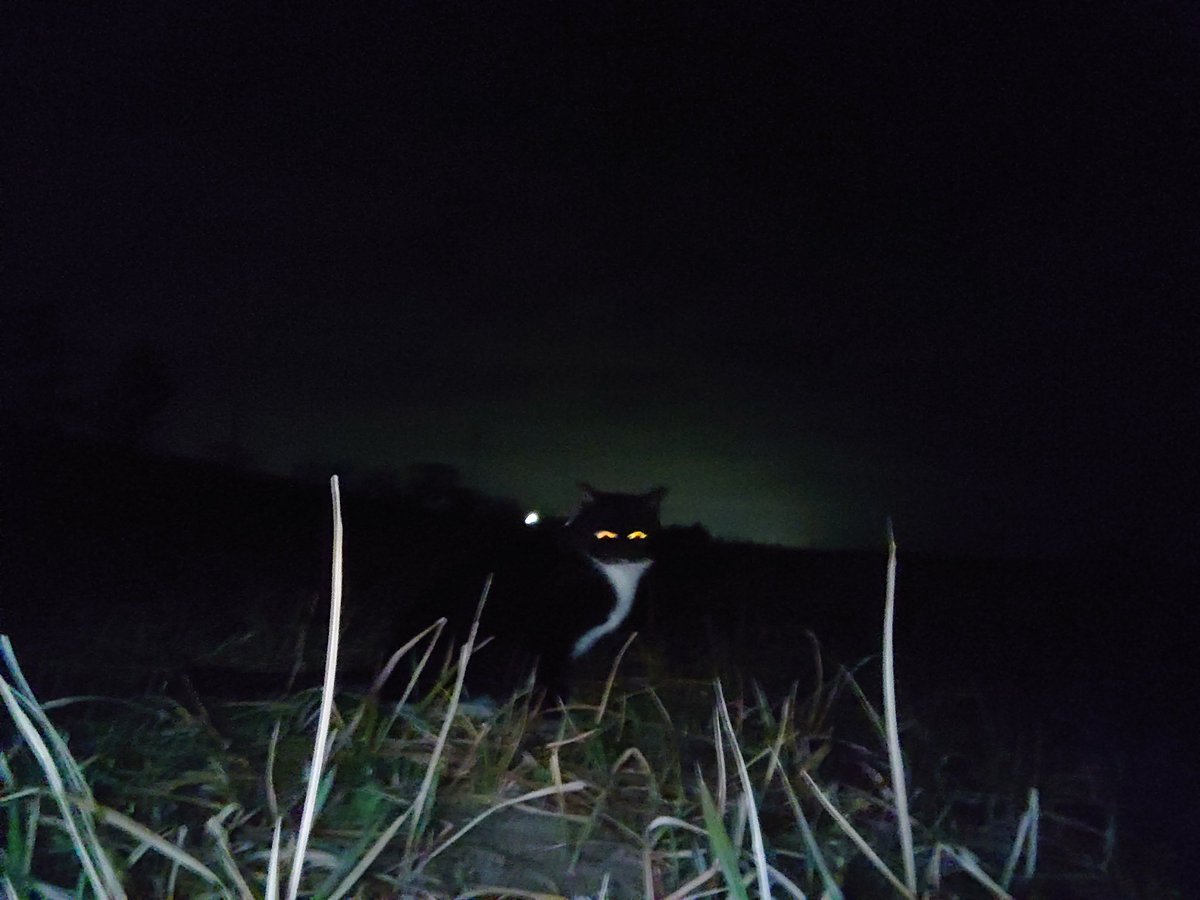 きむら tweet media