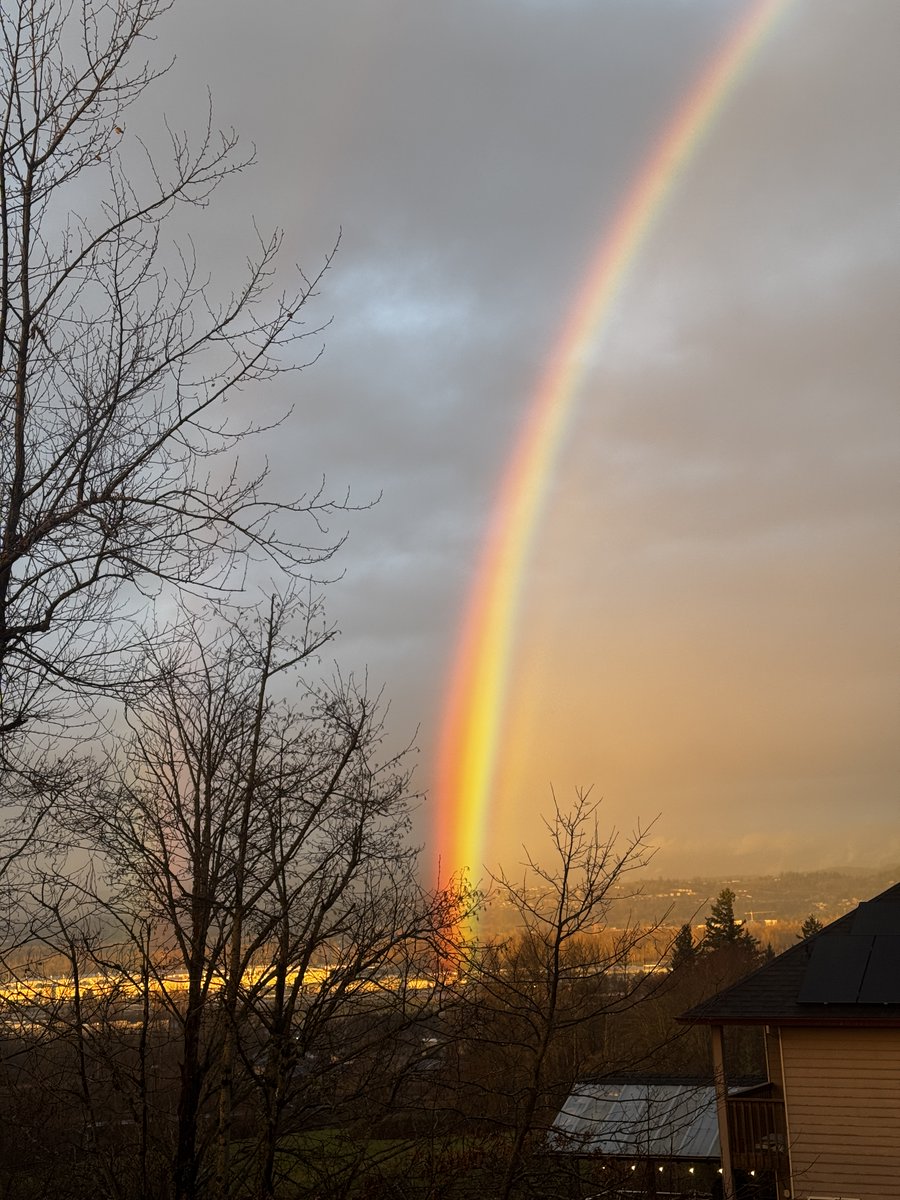 DigitalBeautyy's tweet image. Hello Everyone!
Post your favorite Rainbow pic below 👇!! 

Captured this on my Iphone 📱🌈
#rainbow #DailyInspo #Aesthetic