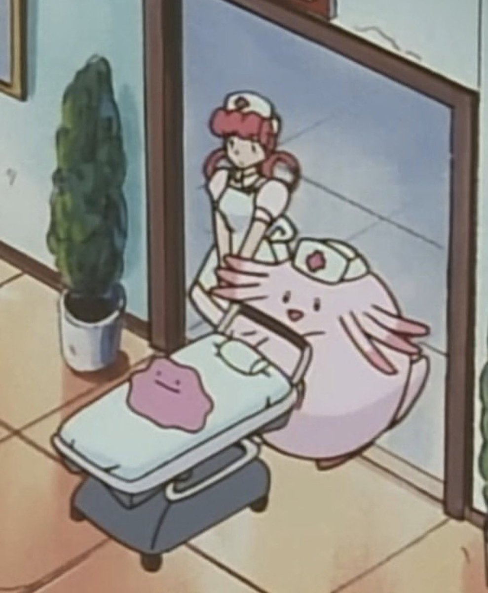 癒しのお届け便 📦【動物】 tweet media