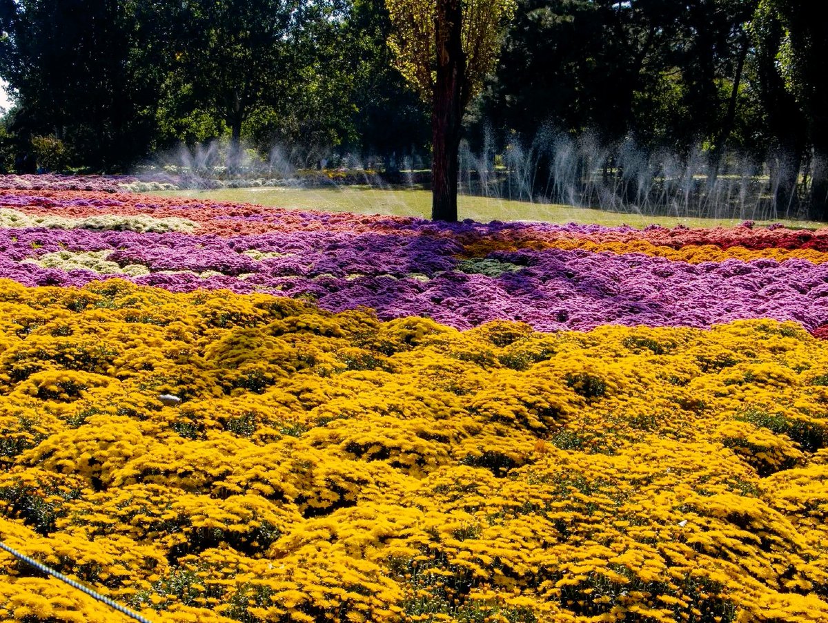 Kelly Leitch tweet media