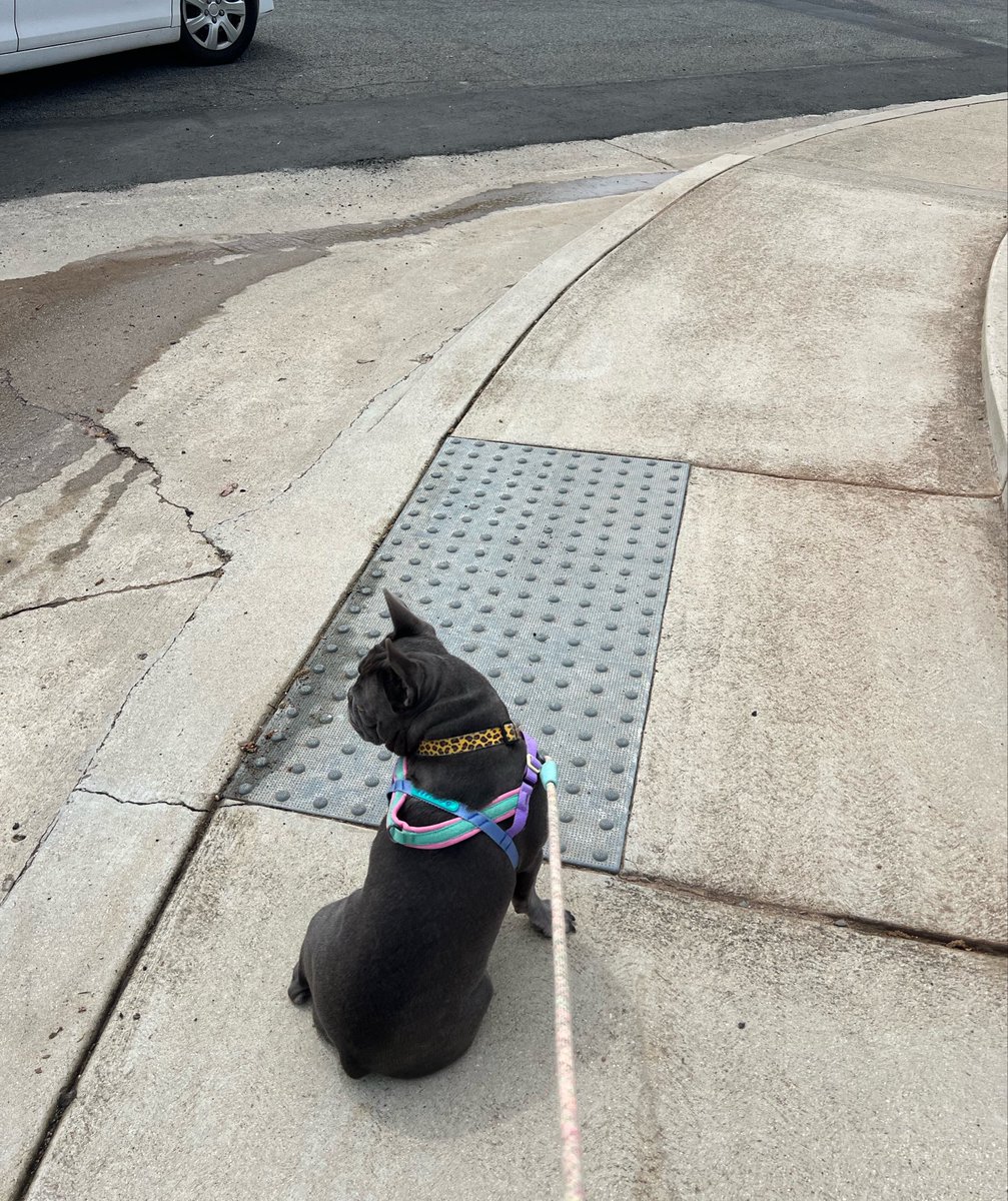 BaronVonHustle 🍌 tweet media