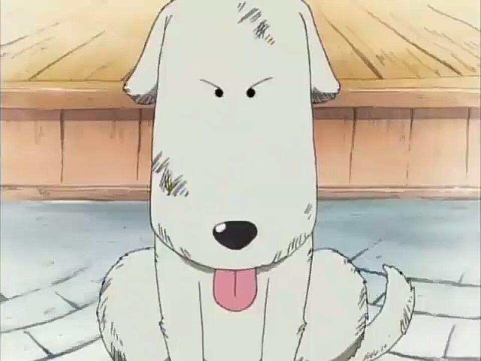 Not to be dramatic but I would die for this dog