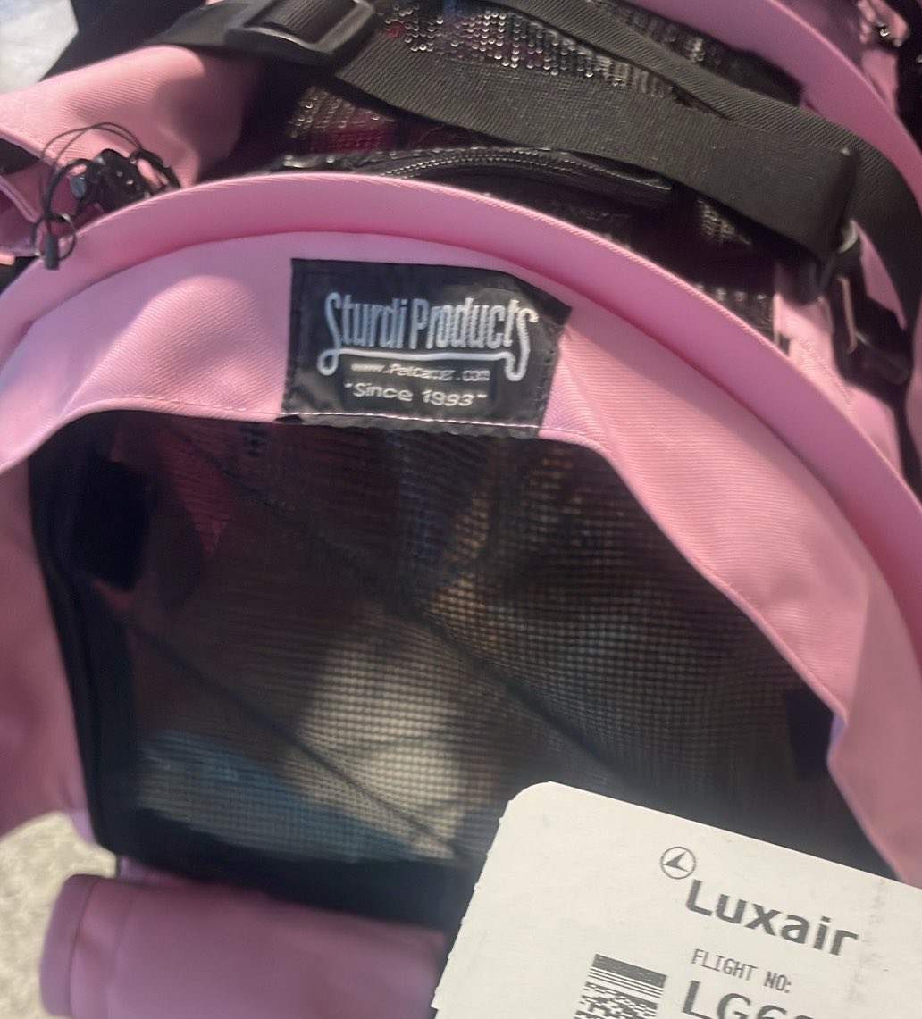 ceci ♡stay forever♡ tweet media